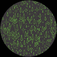 Load image into Gallery viewer, Eprom : Never (12")