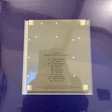 Load image into Gallery viewer, Cignol : Switching For A Living (2x12", Album, RE)