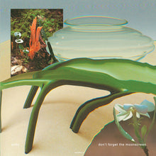 Load image into Gallery viewer, Dolly (37) : Don't Forget the Moonscreen (12")