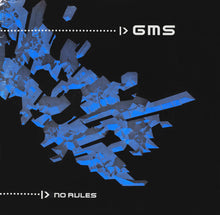 Load image into Gallery viewer, GMS : No Rules (2xLP, Album)