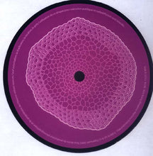 Load image into Gallery viewer, K.I.M. : Kim Kong E.P. (12", EP)