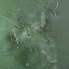 Load image into Gallery viewer, Priori (2) : Your Own Power (Remixes) (12")