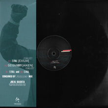 Load image into Gallery viewer, Jheal Bashta* : Still & Seismicity (12", EP)