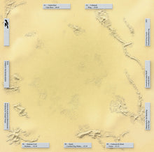 Load image into Gallery viewer, Various : Unique Technologies (12", EP)