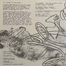 Load image into Gallery viewer, Various : Byakku-Tai Braindance (2x12", Comp)