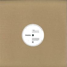 Load image into Gallery viewer, Causa (2) : Haiy / Untitled R V3 C (12")