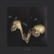 Load image into Gallery viewer, Silent Servant : Optimistic Decay Volume 1 (12", EP)