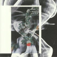 Load image into Gallery viewer, Yaporigami : Chaos Swallower (12", EP)