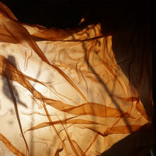 Load image into Gallery viewer, Interstellar Funk : Into The Echo (2xLP, Album)