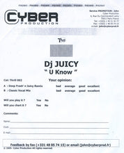Load image into Gallery viewer, DJ Juicy : U Know (12", Promo, W/Lbl)