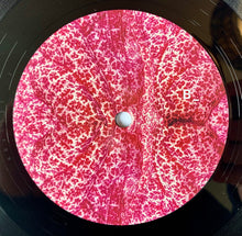 Load image into Gallery viewer, Various : Radar Keroxen Vol. II (12", Comp)