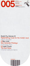Load image into Gallery viewer, Ben Watt / Justin Martin : Buzzin' Fly Volume 01 - Replenishing Music For The Modern Soul (12", Smplr)