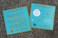 Load image into Gallery viewer, Lee Evans* : Animist Pools (LP, Album, Ltd, RE)