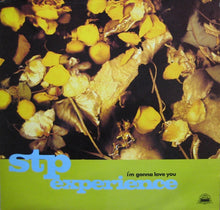 Load image into Gallery viewer, The STP Experience : I'm Gonna Love You (12")