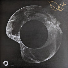 Load image into Gallery viewer, Detboi : Into The Shadows (12", Ltd, Whi)