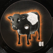 Load image into Gallery viewer, Rowland The Bastard & Ollie 303 : Betty / Power Cut (12")