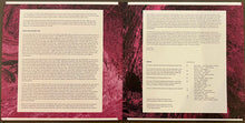 Load image into Gallery viewer, David Toop : Pink Spirit, Noir World (2xLP, Comp)