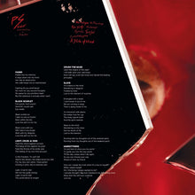 Load image into Gallery viewer, parrish smith (3) : Light, Cruel & Vain (2x12", Album)