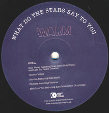 Load image into Gallery viewer, Ron Trent Presents Warm (15) : What Do The Stars Say To You (LP, Album)
