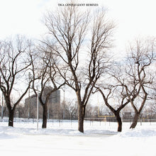 Load image into Gallery viewer, Tiga : Gentle Giant Remixes (12")