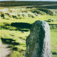 Load image into Gallery viewer, Gwenno : Tresor (LP, Album, Ltd, Gat)