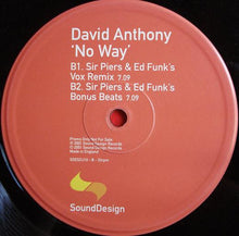Load image into Gallery viewer, David Anthony : No Way (12", Promo)