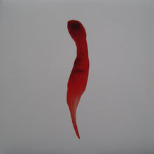 Load image into Gallery viewer, Ambivalent : Rumors (12", Ltd)