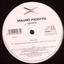 Load image into Gallery viewer, Mauro Picotto : Iguana (12")