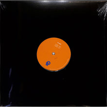 Load image into Gallery viewer, Ted Amber (2) : Botanic Minds Sunset Series (12", EP)