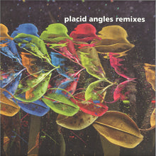 Load image into Gallery viewer, Placid Angles : Touch The Earth Remixes (2xLP, Album)