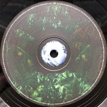 Load image into Gallery viewer, Arcane (19) : Rapture (12", EP)