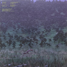 Load image into Gallery viewer, Rolando Simmons : Human Remains (12", EP)