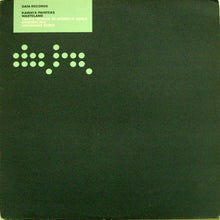 Load image into Gallery viewer, Kamaya Painters : Wasteland (12")