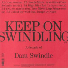 Load image into Gallery viewer, Dam Swindle : Keep On Swindling Pt. 2 (12")