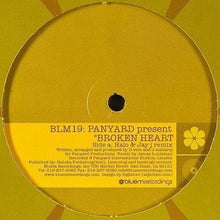 Load image into Gallery viewer, Panyard : Broken Heart (12")