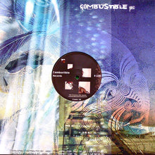 Load image into Gallery viewer, The Logic Box : Barbara's Flow (12")