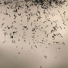 Load image into Gallery viewer, Tim Wright : The Ride (12")