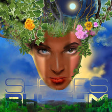 Load image into Gallery viewer, Shades Of Rhythm : Eden: Every Shade (6x12", Album, Comp, RM)