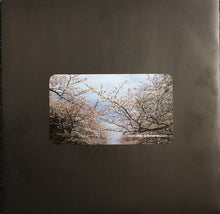 Load image into Gallery viewer, Riya (2) : Seems Like / The Cycle (12")