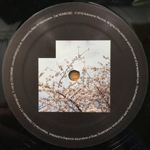 Load image into Gallery viewer, Riya (2) : Seems Like / The Cycle (12")