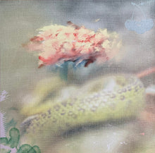 Load image into Gallery viewer, Liai : Pome (LP)