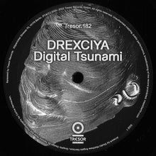 Load image into Gallery viewer, Drexciya : Digital Tsunami (12", RE)