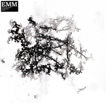 Load image into Gallery viewer, Sam McLoughlin & David Chatton Barker : Environmental Meditation Music (EMM) (LP, Album, Num)