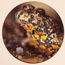 Load image into Gallery viewer, Dominik Eulberg : Die Rotbauchunken Vom Tegernsee (12")