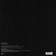 Load image into Gallery viewer, Alan Braxe & Fred Falke : Rubicon (12", Single)
