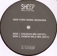 Load image into Gallery viewer, Raoul Delgardo / David Paxton : New York Remix Sessions (12")