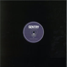 Load image into Gallery viewer, RDG (3) : Press Trigger (12", EP)