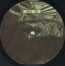 Load image into Gallery viewer, Raíz : Keep Secrets (12")