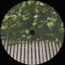 Load image into Gallery viewer, O.M. Theorem : Lemma 2 (12", EP)