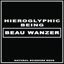Load image into Gallery viewer, Beau Wanzer x Hieroglyphic Being : 4 Dysfunctional Psychotic Release & Sonic Reprogramming Purposes Only (12")